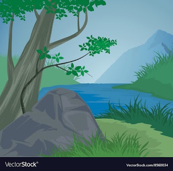 Forest vector image