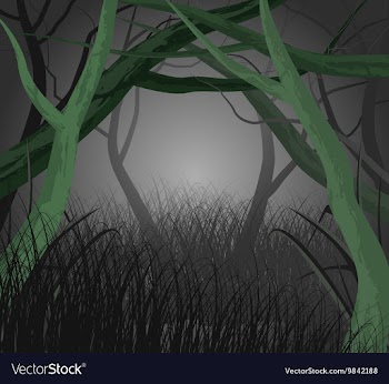 Forest vector image