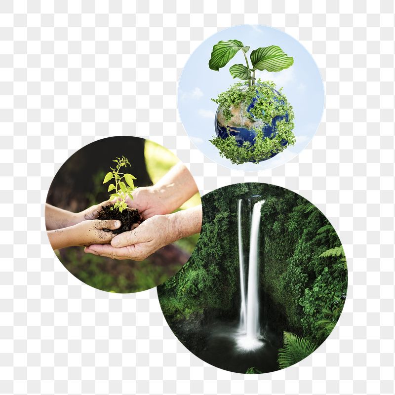 Forestation png badge sticker, environment | Free PNG - rawpixel