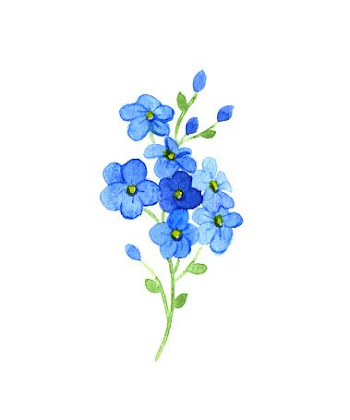 Forget Me Not Clip Art, Vector Images & Illustrations - iStock ...