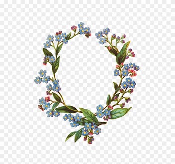Forget Me Not Flower Frame - Round Flower Frame Transparent