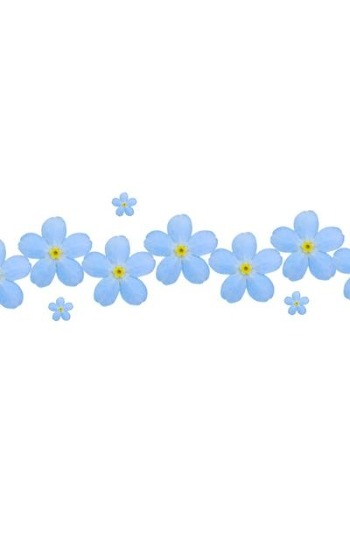 Forget Me Nots Borders Clipart | ClipArtHut - Free Clipart ...