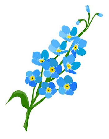 Forget me nots clipart 3 » Clipart Station