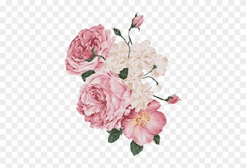 Forma Y Orient - Pink Roses Flower Shower Curtain