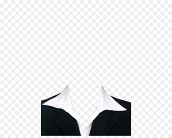 Formal wear Suit Wedding dress Clothing - Ms. passport 
