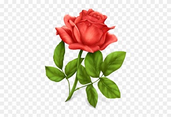 Format - Png - Rose Download