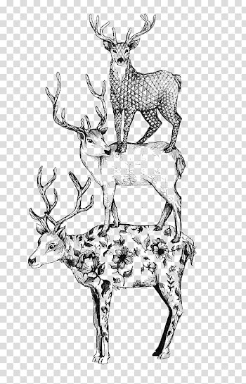 Formosan sika deer Black and white, Black and white deer transparent background PNG clipart