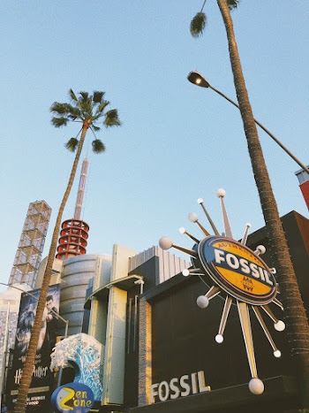 Fossil Signage