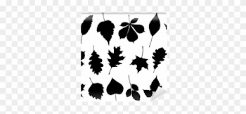 Fotomural Ilustración Vectorial Conjunto De 18 Siluetas - Leaf Silhouette Vector