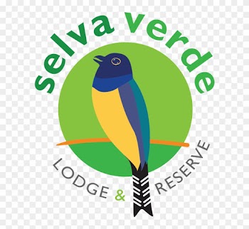 Founded By Giovanna Holbrook To Protect The Biodiversity - Founded By Giovanna Holbrook To Protect The Biodiversity