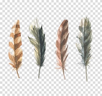Four assorted-color feather paintings , Feather Paper Watercolor painting, Watercolor feather package transparent background PNG clipart