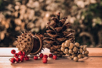 Four Assorted Fruits on Brown Wooden Surface