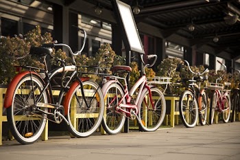 Four Beach Cruiser Bikes Parked Beside Railings