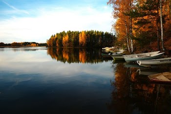 four boats docked near land surrounded by green leaf trees