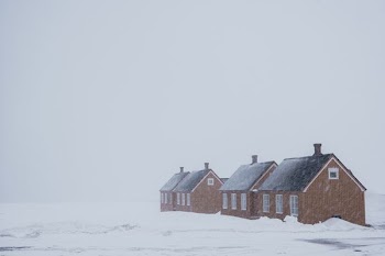 four brown houses