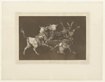 four bulls depicted in different | Free Photo - rawpixel