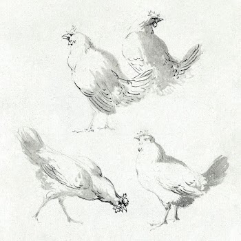 Four chickens (ca. 1720&ndash;1792) drawing… | Free public domain illustration