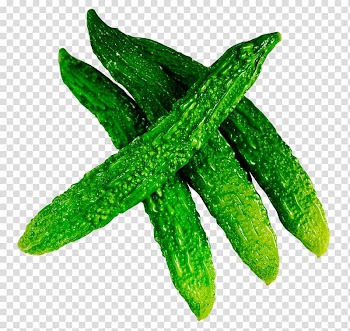 Four green bitter melons, Cucumber Bitter melon Vegetable Fruit, Fresh Bitter Gourd transparent background PNG clipart