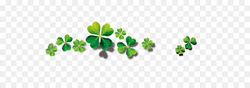 Four Leaf Clover 