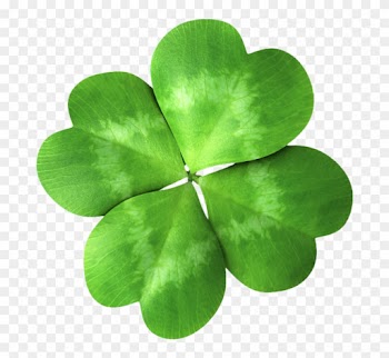クローバー - Four Leaf Clover