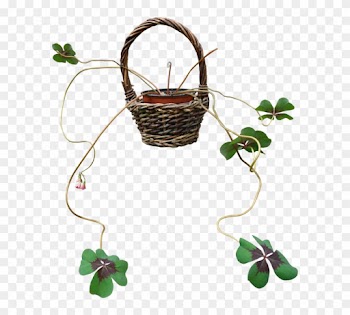 Four-leaf Clover 3 Png By Gd08 - Four-leaf Clover
