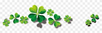 Four Leaf Clover 4217*2015 Transprent Png Free Download - Four Leaf Png