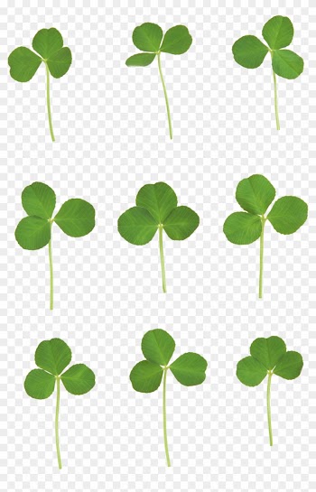 Four-leaf Clover Clip Art - Four Leaf Clover Png