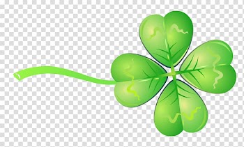 Four-leaf clover Drawing, Green Clover Ribbon transparent background PNG clipart