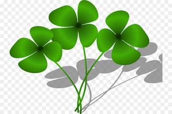 Four-leaf clover Luck Image Clip art - clover 