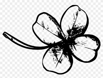 Four Leaf Clover Outline - 4 Leaf Clover Black And White