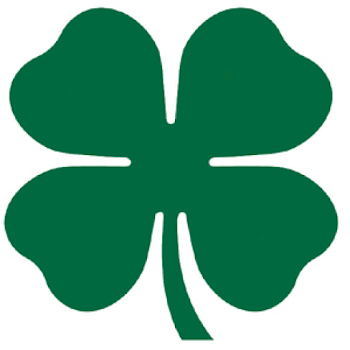 Four-leaf clover Shamrock Luck Clip art - clover png download - 1024 ...