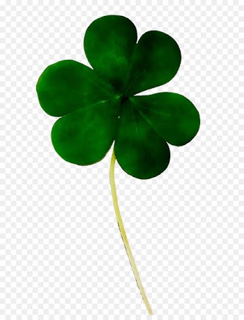 Four-leaf clover Shamrock Vector graphics stock.xchng -  