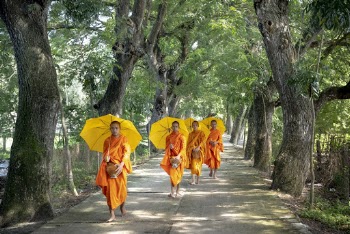 Four Men Walking on Road