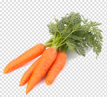 Four orange carrots, Carrot Vegetable Computer file, Carrot transparent background PNG clipart