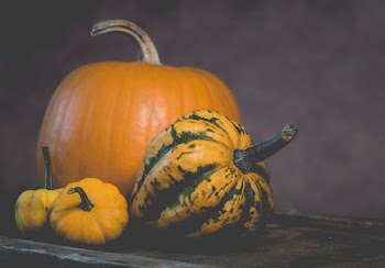 Four Orange Squashes on Brown Wooden Panel