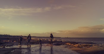Four People Walking on Seashore during Golden Hour