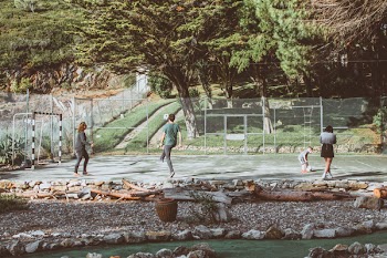 Four Person Playing Ball Surrounded by Trees