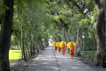 Four Person Walking Under Yellow Umbrellas