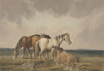 Four Ponies on a Welsh | Free Photo - rawpixel