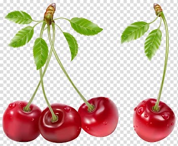 Four red cherries illustration, Juice Cherry Fruit Berry, Cherries transparent background PNG clipart