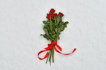 Four Red Roses On White Textiles