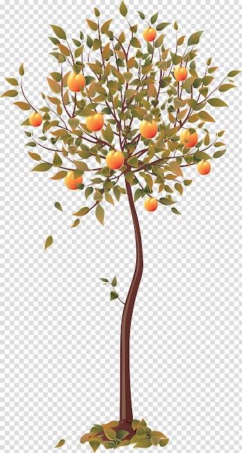 Four Seasons Hotels and Resorts Tree , beautiful autumn trees transparent background PNG clipart