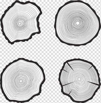 Four white wood slabs, Tree Trunk Aastarxf5ngad , Black and white tree rings transparent background PNG clipart