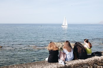 Four Women Sitting Near Sea At Daytime