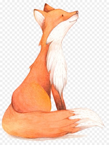 Fox Birthday Illustration - Cartoon fox 