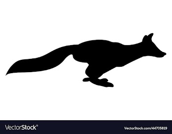 fox bw