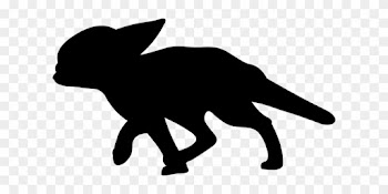 Fox, Fenek, Desert Fox, From, Nature - Fennec Fox
