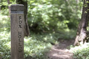 Fox Hollow Trail. Free public | Free Photo - rawpixel