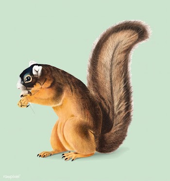 Fox Squirrel illustration | Free stock vector - 457930