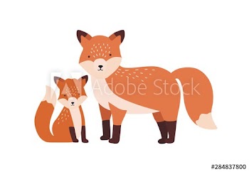 Fox with cub or pup isolated on white background